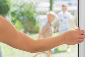 Bild zu Plisseetüren als Insektenschutzlösung für Türen von RAMM Raumausstattung Frankfurt